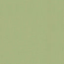 A4 Fabriano Tiziano Pastel Paper 160gsm - Verduzzo Light Green No. 11