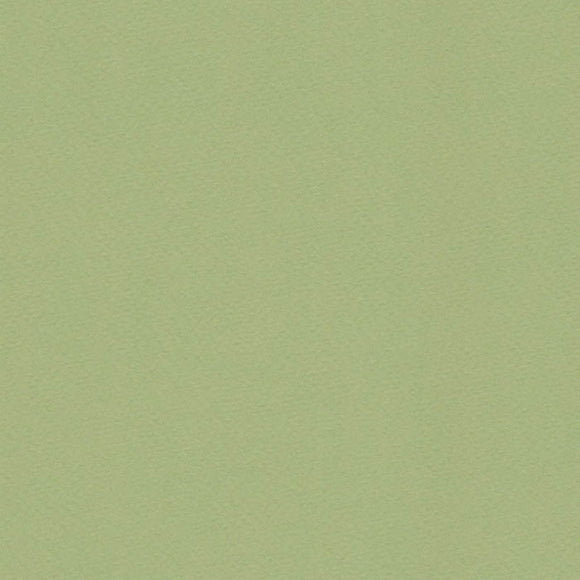A4 Fabriano Tiziano Pastel Paper 160gsm - Verduzzo Light Green No. 11