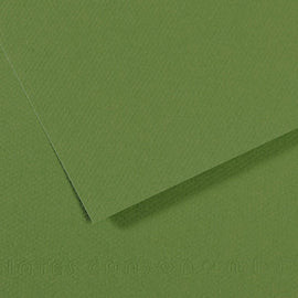 Canson Mi-Teintes A4 Pastel Paper 160gsm – Apple Green No. 475