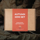 Unison Soft Pastels 8 Half Stick Autumn Mini Set