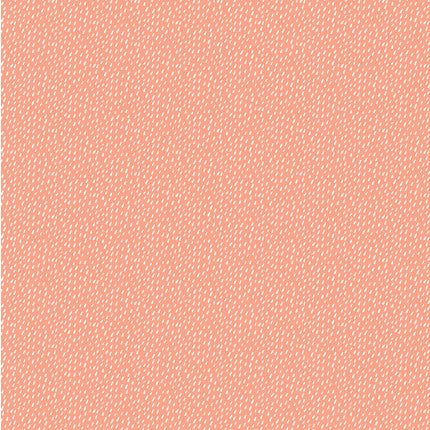 Clairefontaine Origami 60 sheets mixed sizes - Safari