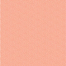 Clairefontaine Origami 60 sheets mixed sizes - Safari-13