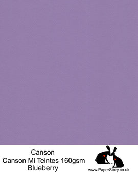 A4 Canson Mi Teintes 160 gsm paper Blueberry Nº 113 - Discontinued