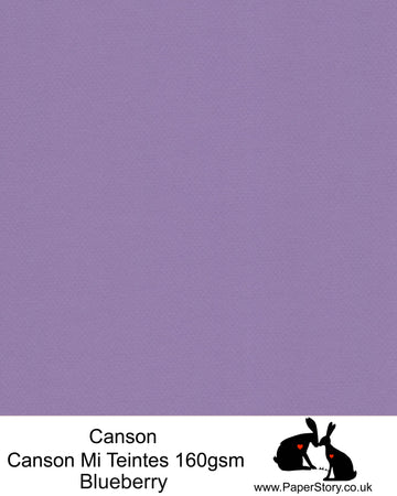 A4 Canson Mi Teintes 160 gsm paper Blueberry Nº 113 - Discontinued