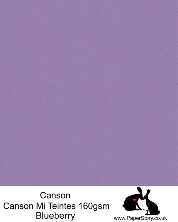 A4 Canson Mi Teintes 160 gsm paper Blueberry Nº 113 - Discontinued