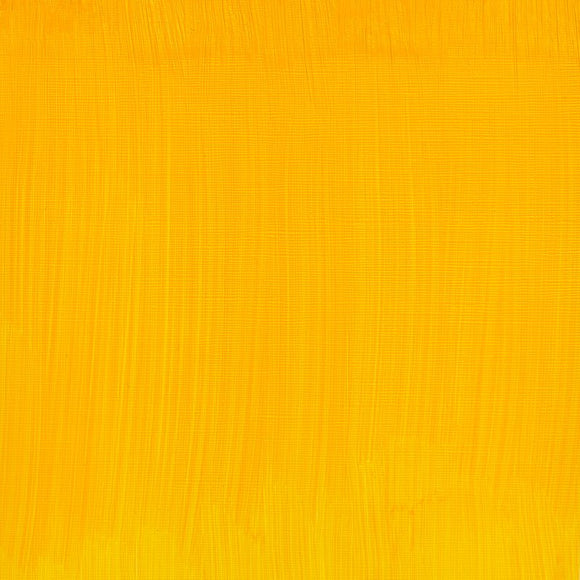 Winsor & Newton Artists Oil Colour 37ml Cadmium Free Yellow