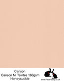 Canson Mi-Teintes A4 Pastel Paper 160gsm – Honeysuckle No. 350 – Discontinued-2