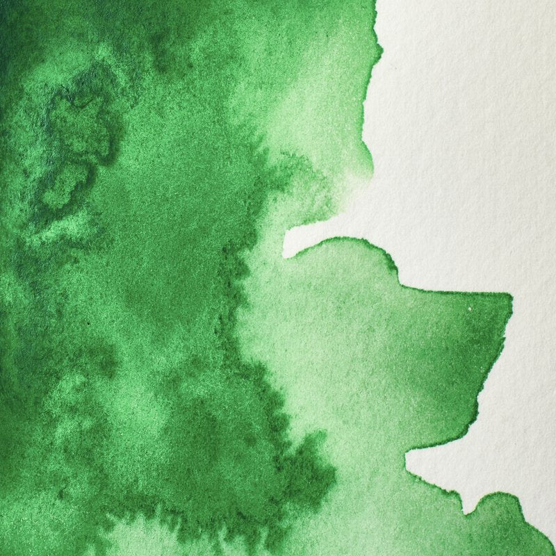 New Colour Winsor & Newton Professional Watercolour Paint 5ml : Cinnabar Green