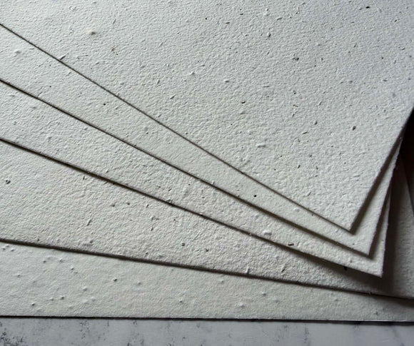British Made 100% Cotton - Handmade Plantable Meadow Card 280 - 300 gsm