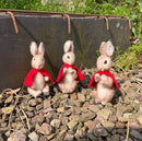 Three stuffed rabbits with red cloaks standing on a rocky surface with greenery in the background.