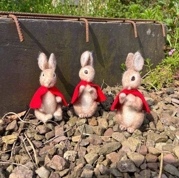 Three stuffed rabbits with red cloaks standing on a rocky surface with greenery in the background.