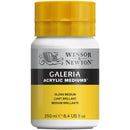 Winsor & Newton Gloss Medium 250 mls
