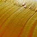 Winsor & Newton Gloss Medium 250 mls