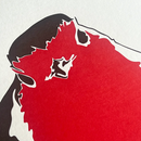 Robin Letterpress Greetings Card-2