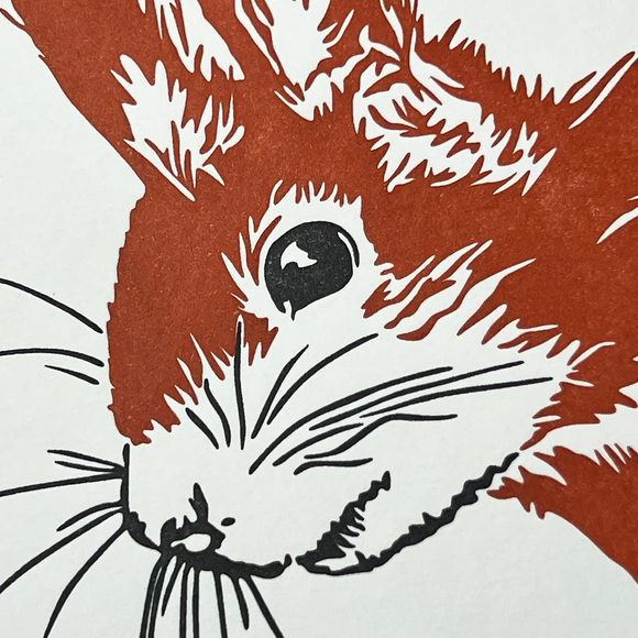 Cheeky Red Squirrel Letterpress Greetings Card