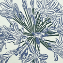 Agapanthus  Letterpress Greetings Card-2
