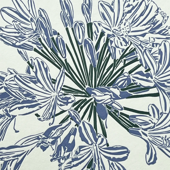 Agapanthus  Letterpress Greetings Card