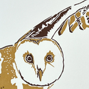 Barn Owl  Letterpress Greetings Card-2