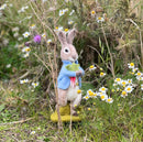Beatrix potter needle felting kit