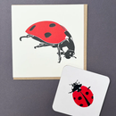 Ladybird Letterpress Greetings Card-3