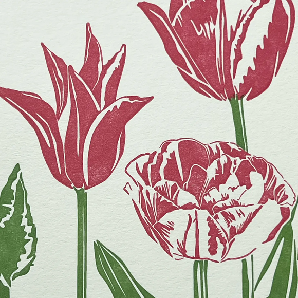 Pink Tulips Letterpress Greetings Card