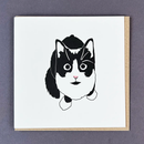 Black Cat Letterpress Greetings Card-1