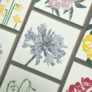 Agapanthus  Letterpress Greetings Card-3