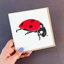 Ladybird Letterpress Greetings Card-4