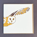 Barn Owl  Letterpress Greetings Card-1