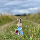 Peter rabbit needle felting kit
