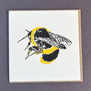 Bumble Bee Letterpress Greetings Card-1