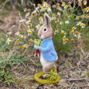 Peter rabbit needle felting kit
