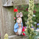 Crafty Kit Company Beatrix Potter Peter Rabbit and his Pocket Handkerchief Needle Felting Craft Kit