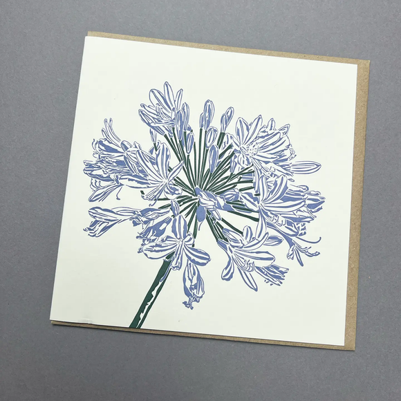 Agapanthus  Letterpress Greetings Card