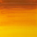 Winsor & Newton Artists Oil Colour 37ml Indian Yellow