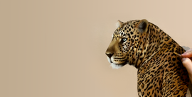 Emily Rose Pastel Colour Selection