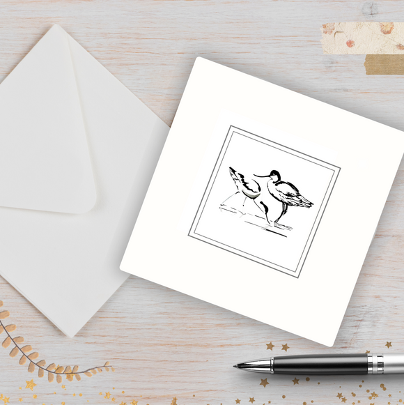 Avocet - Greetings Card & Envelope