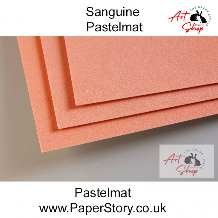 Pastelmat Clairefontaine Pastel Paper 24 x 32 cm x 5 sheets red rouge sanguine