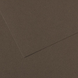Canson Mi-Teintes A4 Pastel Paper 160gsm – Sepia No. 133 – Discontinued