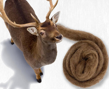 Carded Corriedale Wool - Dear  50g e