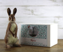 World of Wool Needle Felting Kit - Romeo Rabbit / Hare