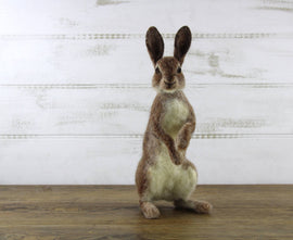 World of Wool Needle Felting Kit - Romeo Rabbit / Hare
