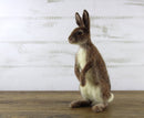 World of Wool Needle Felting Kit - Romeo Rabbit / Hare