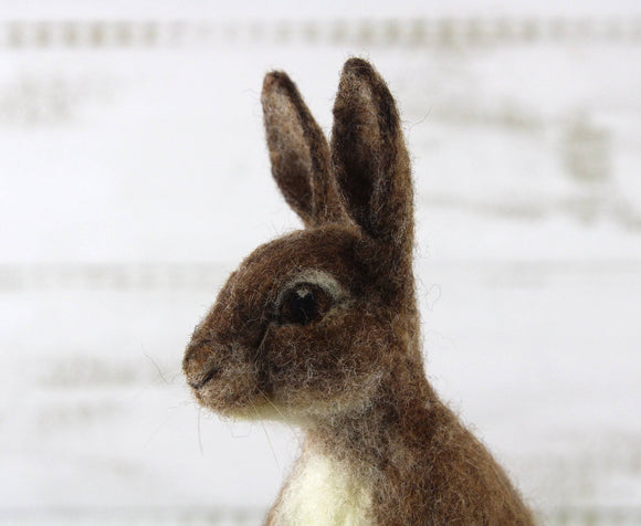 World of Wool Needle Felting Kit - Romeo Rabbit / Hare