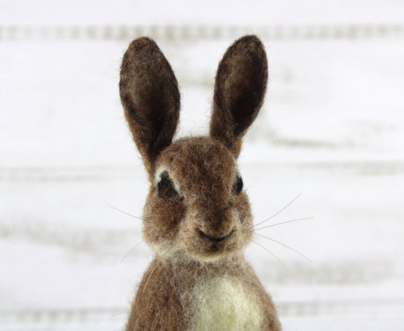 World of Wool Needle Felting Kit - Romeo Rabbit / Hare