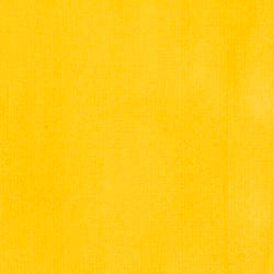 Liquitex Professional Acrylic Ink : Cadmium Yellow Light Hue