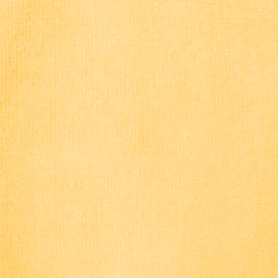 Liquitex Professional Acrylic Ink : Yellow Oxide