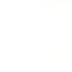 Copy of Liquitex Professional Acrylic Ink : Titanium White