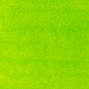 Liquitex Professional Acrylic Ink : Vivid Lime Green