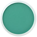 PanPastel Artists Pastels 620.5 Phthalo Green